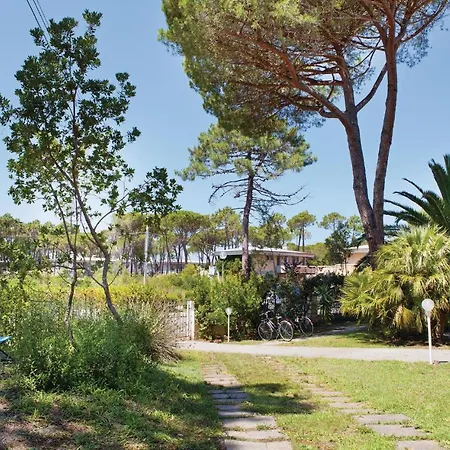 Maremma *